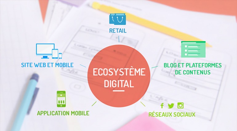 blog ecosysteme
