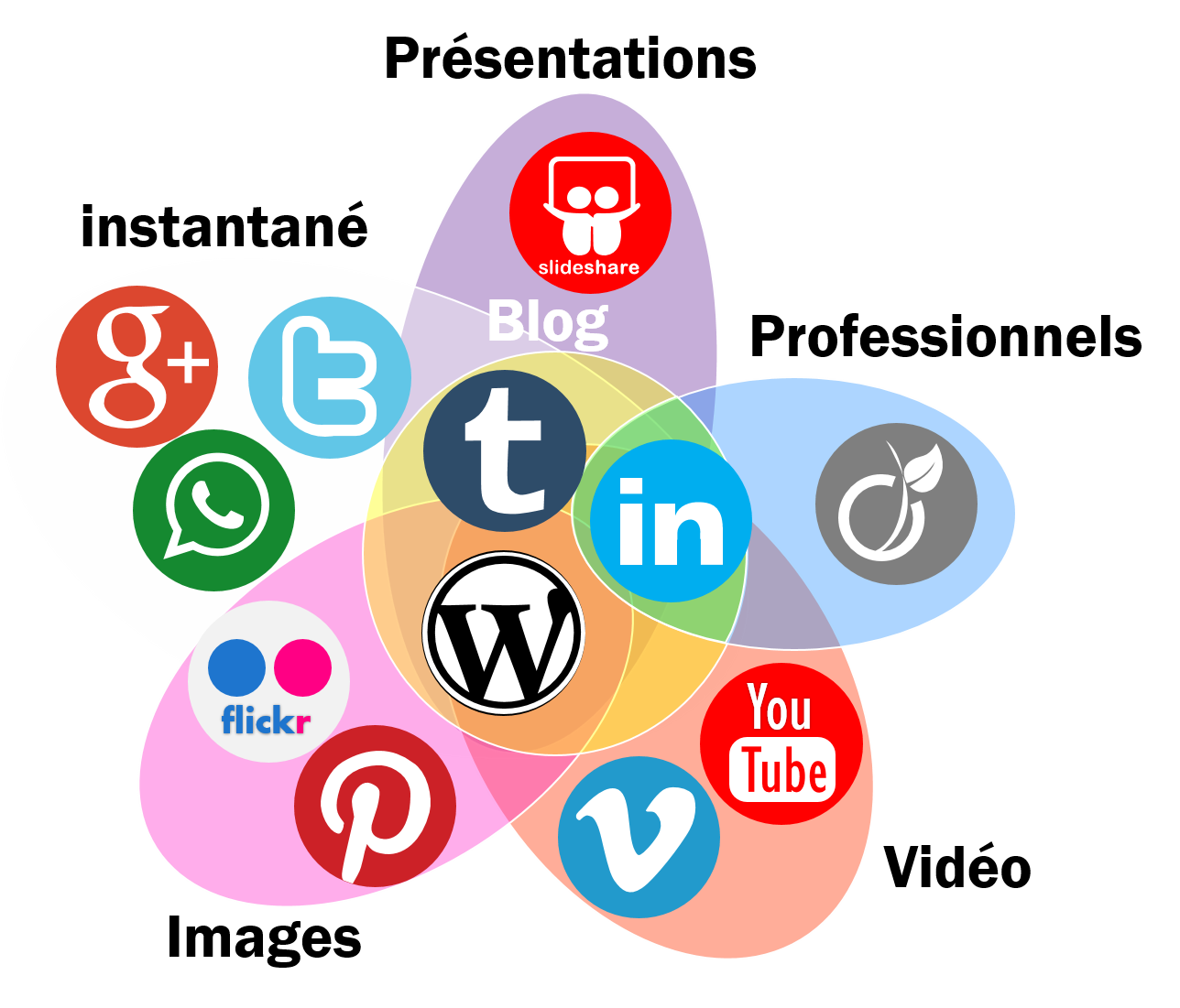 reseaux sociaux site